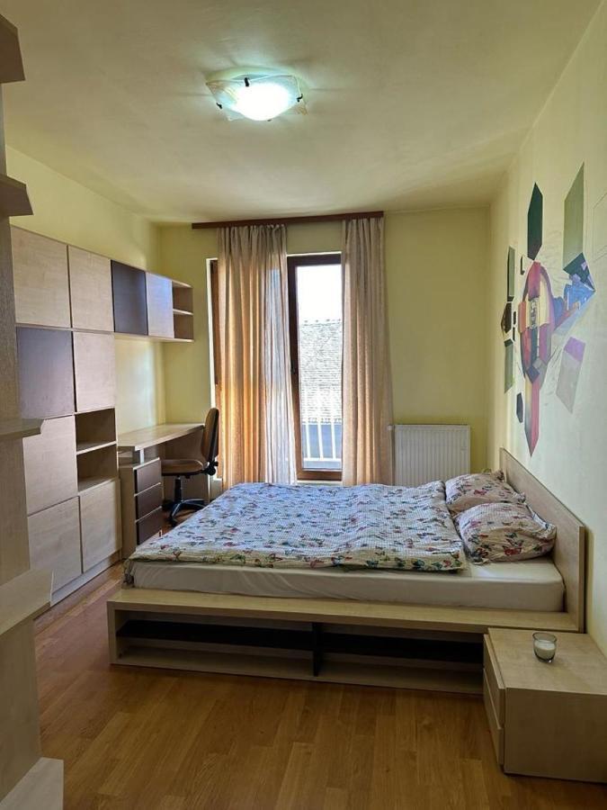 Central Apartment No1 Тимишоара Экстерьер фото