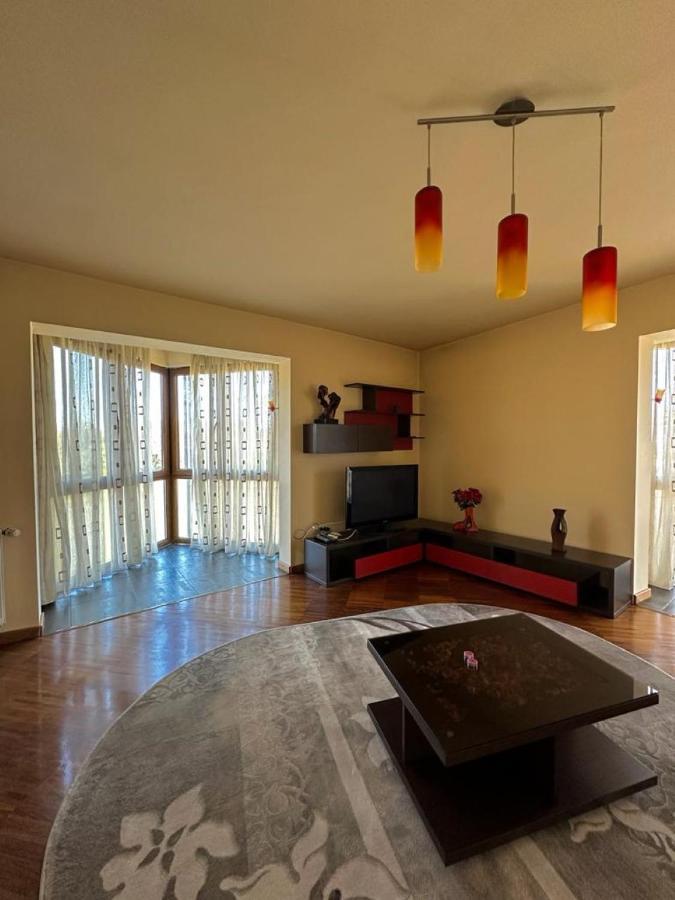 Central Apartment No1 Тимишоара Экстерьер фото
